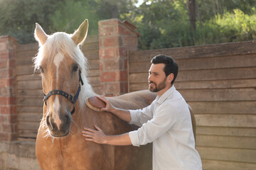 Man brushing adorable horse outdoors. Pet care