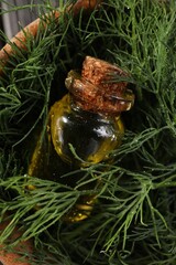Bottle of essential oil and fresh dill in bowl, top view
