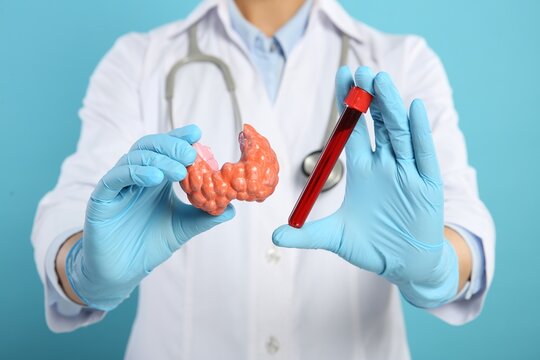 Endocrinologist showing thyroid gland model and blood sample on light blue background, closeup