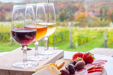 Flight of Three Wines, Red, Orange and White, are served with a Charcuterie and Cheese Platter in a Vineyard Setting