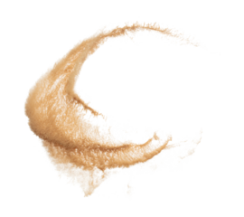 Golden grain wave explode. Abstract cloud fly. Yellow colored sand splash throwing curve circle in Air. Fine Sand flying explosion, White background Isolated throwing freeze stop motion
