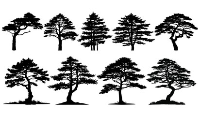Fototapeta premium Collection of silhouettes of pine trees. Vector Illustration.