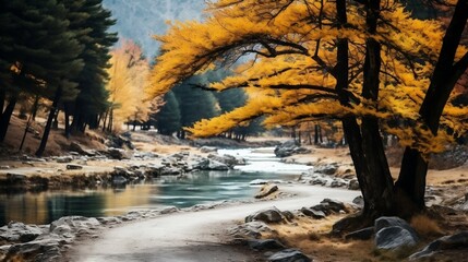 Majestic landscape with autumn trees in forest
