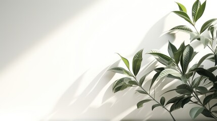 Blurred shadow from leaves plants on the white wall. Minimal abstract background - obrazy, fototapety, plakaty