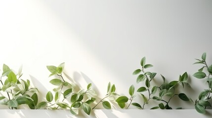 Blurred shadow from leaves plants on the white wall. Minimal abstract background