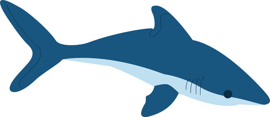 blue shark