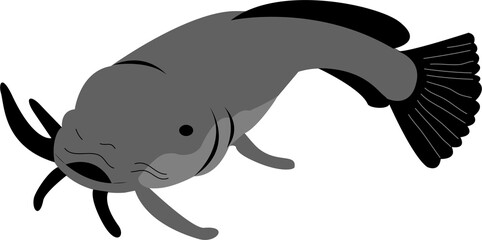 catfish © finairmawati