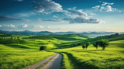 Picturesque winding path through a green grass field in hilly area in morning at dawn against blue sky with clouds