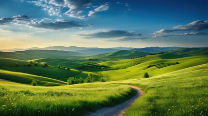 Picturesque winding path through a green grass field in hilly area in morning at dawn against blue sky with clouds