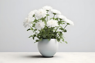 Chrysanthemum in a pot 3d rendering style