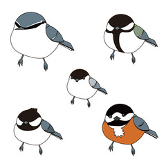 森の小鳥　ガラのセット（ゴジュウカラ、シジュウカラ、ヤマガラ、ヒガラ、コガラ）