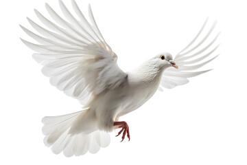 A free flying white dove of peace isolated on transparent or white background. Generative AI