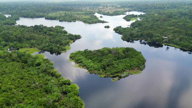 Scenic aerial view of rainforest river jungle in Amazonas Brazil in summer
