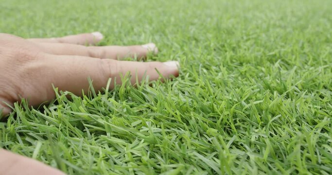 Male hands is touching artificial lawn grass. Hand on green grass. Feels the softness of artificial grass.