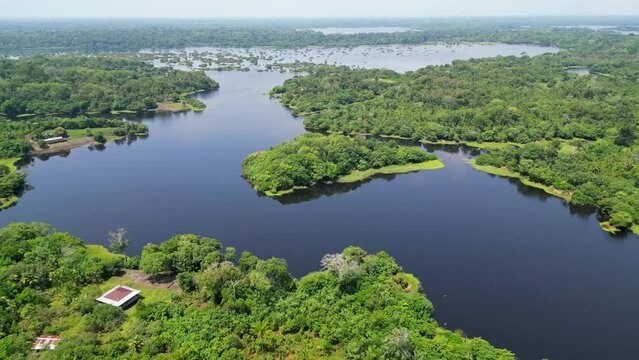 Scenic aerial view of rainforest river jungle in Amazonas Brazil in summer