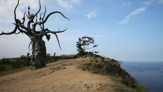 Baikal Lake. Olkhon Island. Video of famous landmark is bronze sculpture Baikal Keeper in shape of old dry larch tree on sunny summer day