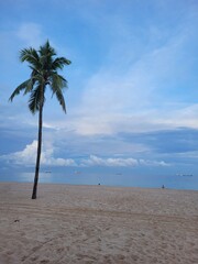 Beautiful evening on the ocean beach