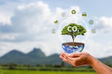 A tree is growing on the globe in a human hand and a CO2 symbol. Concept about carbon dioxide emissions issue and its impact on nature.
