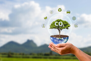 A tree is growing on the globe in a human hand and a CO2 symbol. Concept about carbon dioxide...