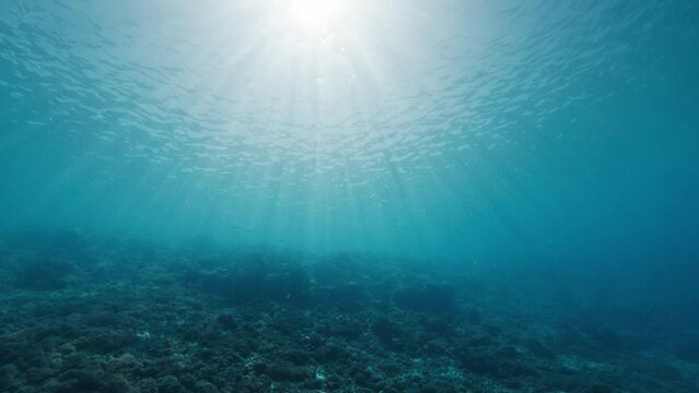 Underwater view of the sea with sunny rays. Sun shines through the clear sea water as seen from the depth