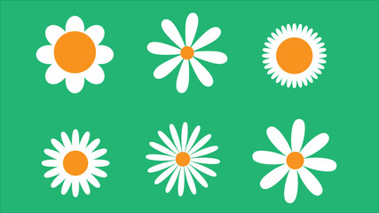 Various white daises on blue background cartoon illustration set. camomiles or chamomiles with different petals