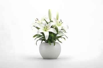 Lily in a pot 3d rendering style