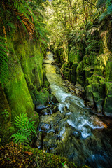 River flowing through the deep canyon walls in the prehistoric rain forest in the central north...