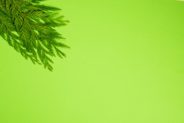 green background with leaves,place for text