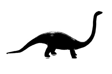black dinosaur silhouette isolated on white background, model of dinosaurs toy
