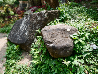 Yellow brown rock as foreground object in shallow depth of field focus with tropical rain forest jungle full of trees and leaves as blurred bokeh background. Stone with moss and blurred dry leaves.