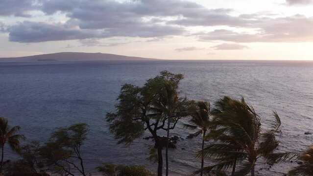 Low and slow aerial shot flying over pam trees along the beach in Wailea with Molokini Crater and the sacred island of Kaho'olawe in the distance at sunset in Maui, Hawai'i. 4K