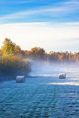 Frosty landscape at a field with round bales in autumn