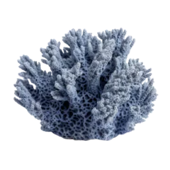 Tableaux ronds sur aluminium Récifs coralliens Blue reef coral isolated on white background,Transparency 