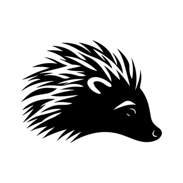 Hedgehog head black silhouette logo vector