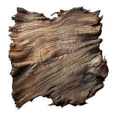 Tree Bark Textures on Transparent Background Isolated on Transparent or White Background, PNG - obrazy, fototapety, plakaty