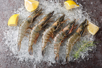 Raw Seafood black tiger prawns shrimps with lemon, herbs closeup on the ice on a dark background. Horizontal top view from above