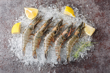 Raw big black tiger shrimps with lemon and rosemary on crushed ice close-up on the table....