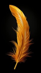 Close-up of a golden canary feather on a black background.