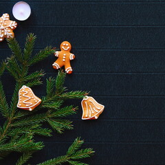 A green spruce branch decorated with gingerbread on a dark craft background. Square Size Photo. Christmas Conception