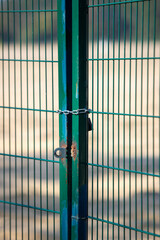 Green metal mesh against the background of nature and sky