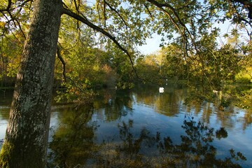Rheinauen nahe Rhinau im Elsass