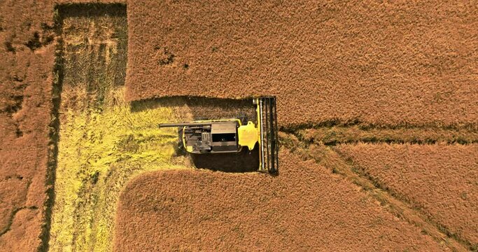 Top down view of combine harvesting field in summer