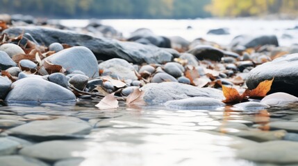 A realistic image of a rocky riverbed with autumn leaves The rocks are smooth and rounded, with different shades of gray The leaves are orange and brown, and some are in the water The water is clear