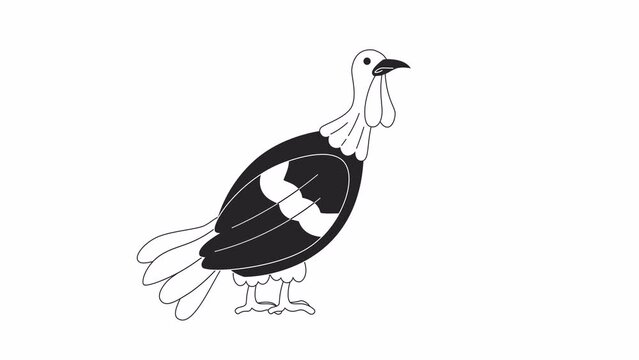 Domestic turkey bird bw 2D character animation. Poultry farming outline cartoon 4K video, alpha channel. Wild gobbler thanksgiving. Autumn countryside bird animated animal isolated on white background