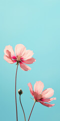 Two pink simple flowers on turquoise sky minimalistic background