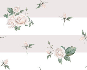 White roses seamless pattern striped. White roses arrangement. collection garden flowers, leaves. watercolor hand painting illustration on isolate white background. For wedding invitations anniversary