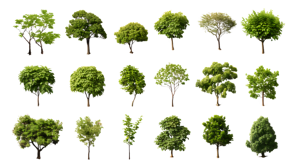 Overhead Tree Collection Isolated on Transparent or White Background, PNG