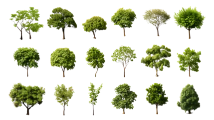 Rolgordijnen Overhead Tree Collection Isolated on Transparent or White Background, PNG © Bob