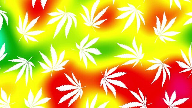 An abstract psychedelic cannabis leaves pattern motion graphic background.. 4k looping footage