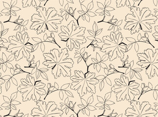 Vintage pattern with plants, herbs and flowers. Flower background for flower shop with label designs and for cosmetics packaging